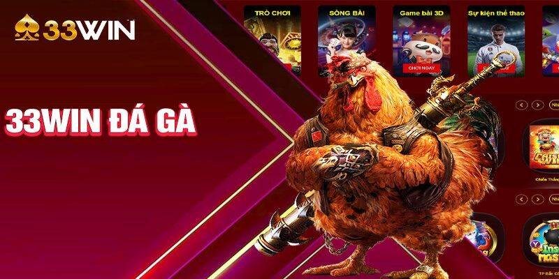 Trải nghiệm đá gà tại 33WIN