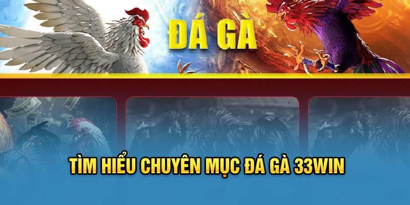 Ưu điểm khiến chuyên mục đá gà 33WIN được lựa chọn